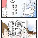 ご要求が強めの子!!