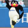 【ヤクルト】つば九郎、担当スタッフ永眠発表　５回終了時くるりんぱ、フリップ毒舌コメント人気