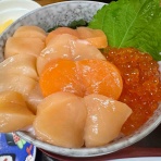 北海道ひとり旅 憧れの大地へ 旅のブログ