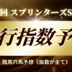 競馬穴馬予想《指数が全て》