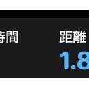 火曜午後散歩