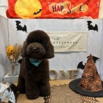 ペットショップワンラブ ザ・ファクトリー ニシムタ合志店のスタッフブログ