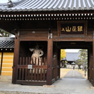 病気になり難い体質づくりのヨーガ塾           主宰 渡邊雅春