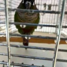 おひさしぶりです～～