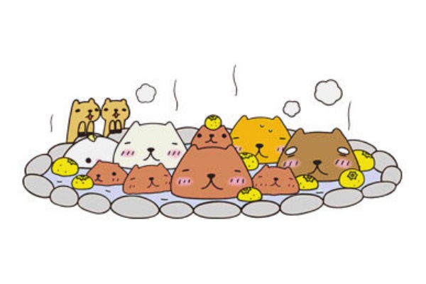 パズドラ のぼ ん カピバラさん モンスター紹介 ステータス スキル 覚醒 入手方法 使い道 Puzdrafan パズドラ攻略 速報