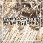 ひろパパ  BreedingJournal