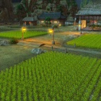 【FF14】米農家ヒカセンさん、農業の楽しさと辛さを語る。「お米を作ってくれてありがとう」とリアルギャザラーに応援の声も