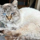 ご協力のお願い