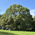 K公園へ