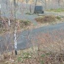 蔦切りをしました