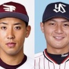 今井達也、藤平尚真、寺島成輝、堀瑞輝←この世代