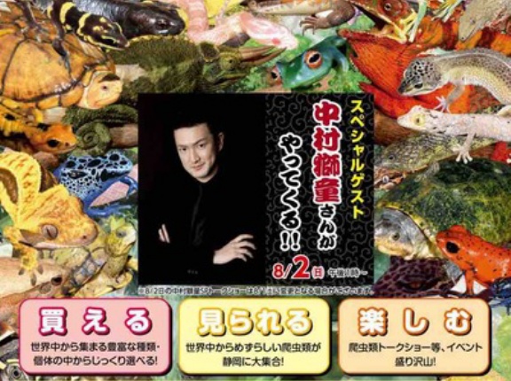 JRS【夏レプ】出展します！