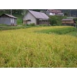 �ؿ��Ҥ�����Ĥ�ܡ٤β���