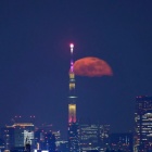 『投稿：昇る月とスカイツリー　2024/01/04』の画像