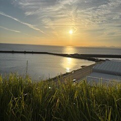 かけこみ万博➁。