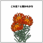 📍📍ピンクッションあるある📍📍