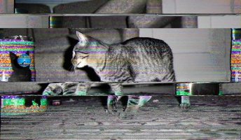 なんで現実世界ってバグないの?