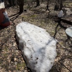 暇人、時々ひるがの高原へ行く！