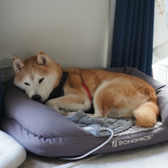 インフル後遺症？？