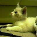 ���Ǥ϶��Ϥ���ʬ���������餻�������ä������Ǥ������륯��äȤ������ϤϹ�ʪ�ε��򸫤�ȷ�ߤǤ�(^_^)