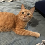 一時帰国してました。