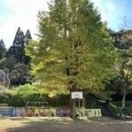 市原市議会議員　大曽根友三～トモゾウ～のBlog