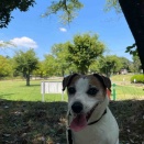 アボの戸頭公園グラビア。7月26日
