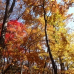 踏み入る先にあるものはL