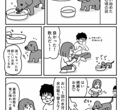 過干渉飼い主もよくない