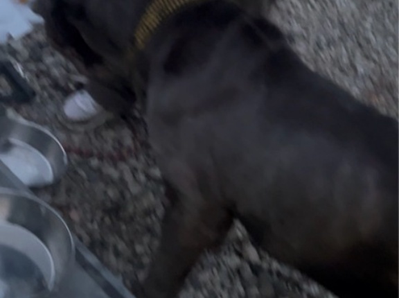 本日も最悪のレスキュー依頼、、、😱💦