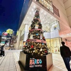 今、「生きている」その日に感じた心を綴ろう！