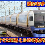 湘南色の部屋（Shonan-color train）