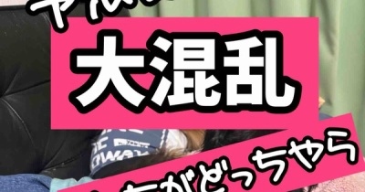 すでに上下関係が出来上がっている。