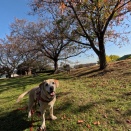 おはなちゃんとジュピター君。