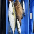 【画像】船釣り行ってきた！！！！