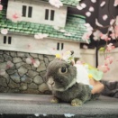 4月11日のグルーミングフォト