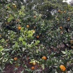 サラリーマン時々自由人