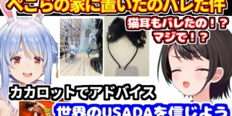 【ホロライブ】スバル、ぺこらの家に置いていったアクスタと猫耳がバレた件＋ドラゴンボールカカロットをやるにあたりアドバイスを貰った話