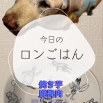 ロンさんの、健康管理手帳