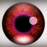 【危険】絶対に見てはいけないYouTube動画がヤバイ！ 脳が破壊される可能性あり!!!!!!!!!!!!!!!!!