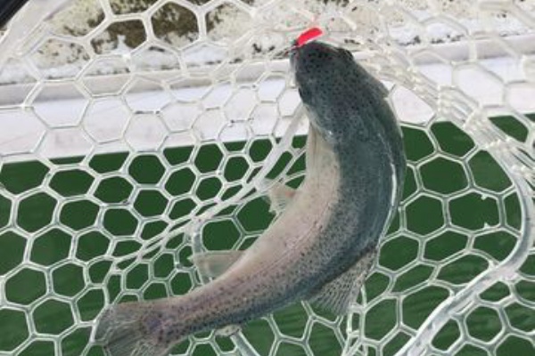 愛和住販店長の釣りとかキャンプとか 川越水上公園ブログ