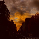 『歯の痛みは原因不明？　vol.4237』の画像