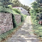シニアから始めた透明水彩画