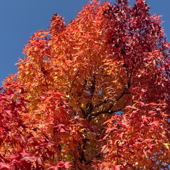 大事なこと◆親は、子の状態に関係なく機嫌を変えない。