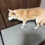 幸せになろうね♪