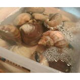 �ؿ��� �����ġ٤β���