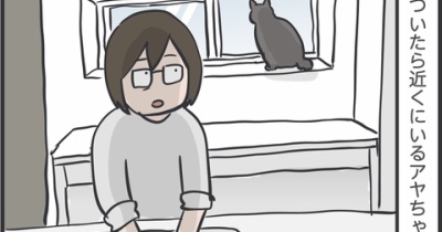 どうしても猫の行動に期待しちゃう