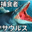 【鹿児島】8000万年前の新種哺乳類の化石発見！！