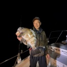 メバルナイト。