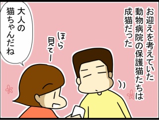 猫飼いのタイミングと運命